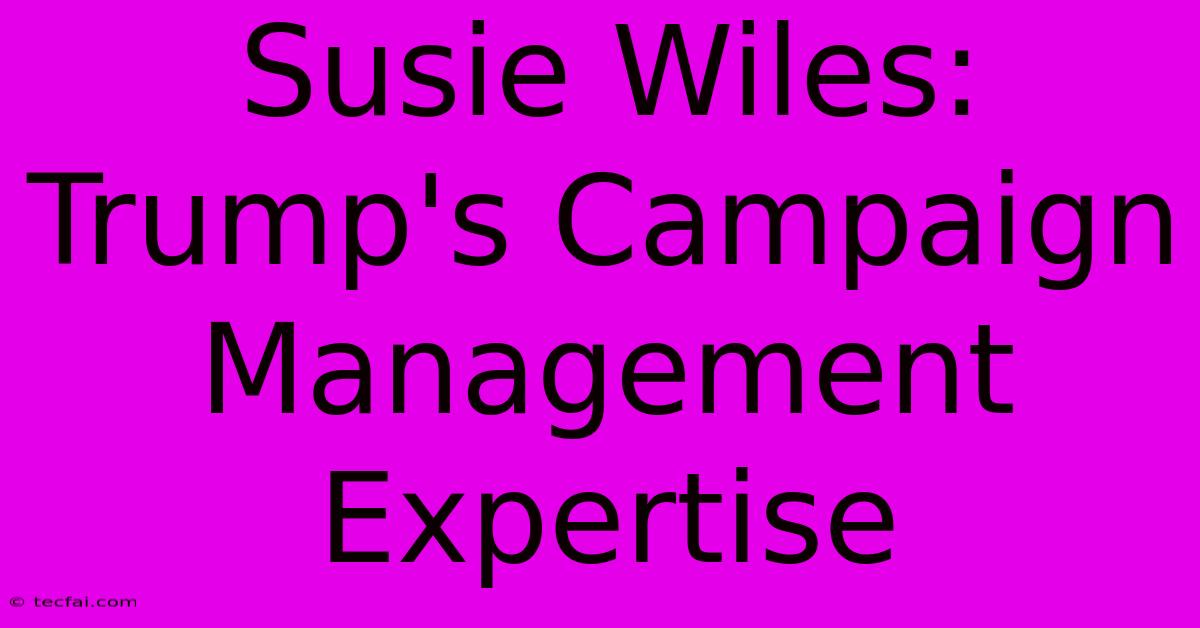 Susie Wiles: Trump's Campaign Management Expertise 