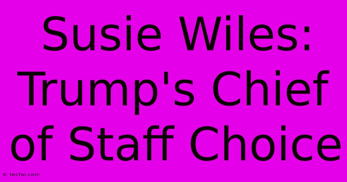 Susie Wiles: Trump's Chief Of Staff Choice 