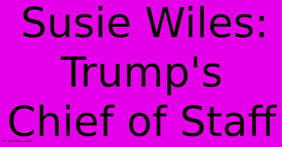 Susie Wiles: Trump's Chief Of Staff