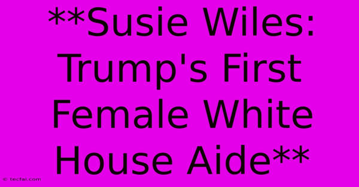 **Susie Wiles: Trump's First Female White House Aide**