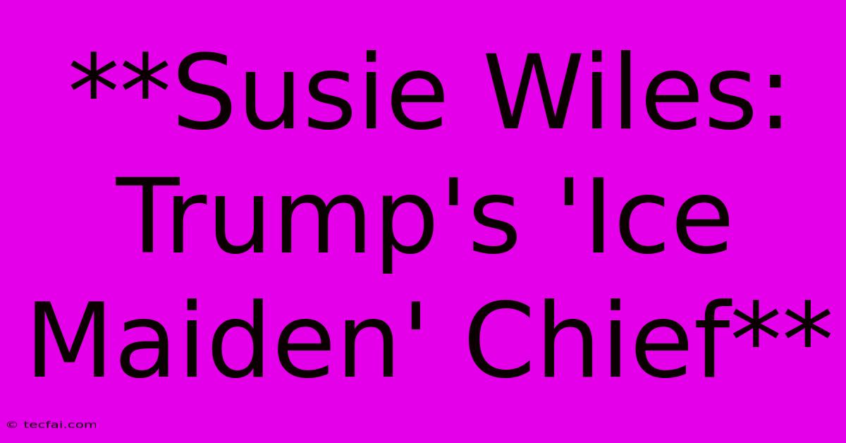 **Susie Wiles: Trump's 'Ice Maiden' Chief**