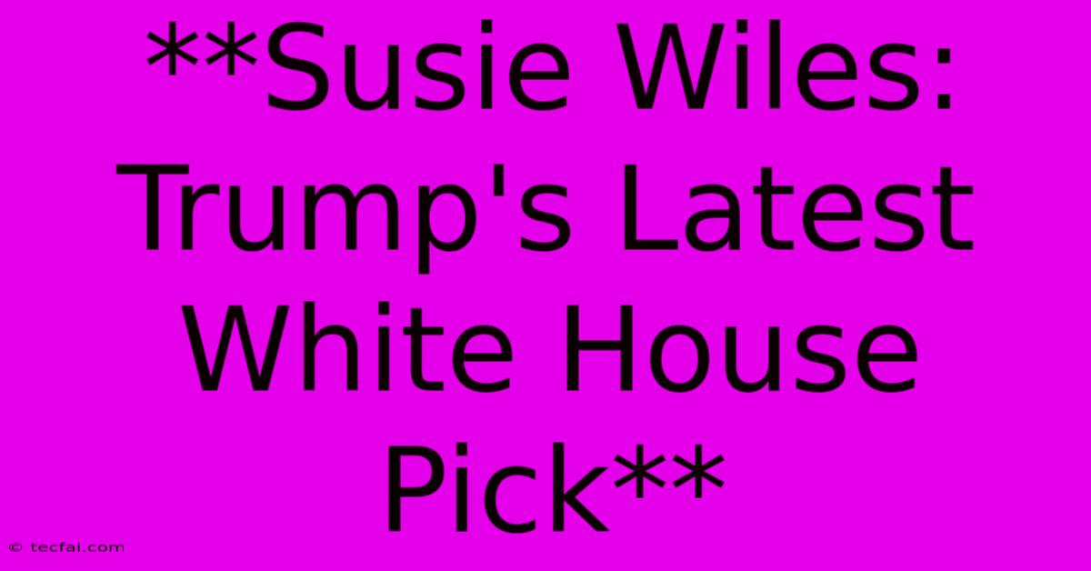 **Susie Wiles: Trump's Latest White House Pick**