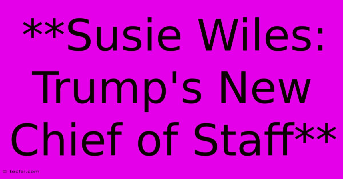 **Susie Wiles: Trump's New Chief Of Staff** 