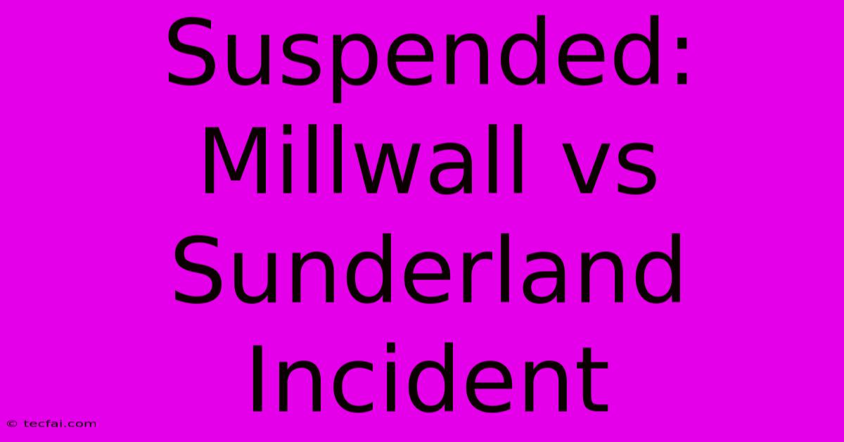 Suspended: Millwall Vs Sunderland Incident