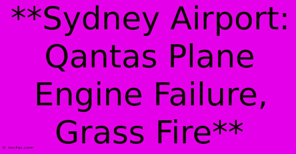 **Sydney Airport: Qantas Plane Engine Failure, Grass Fire**