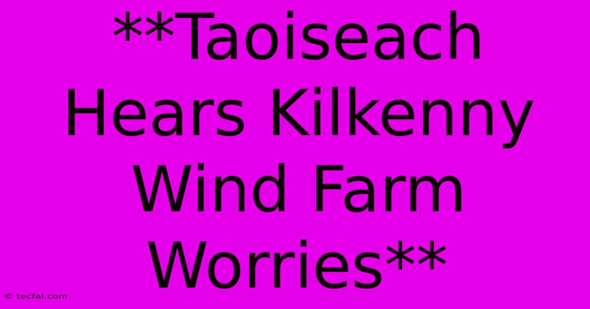 **Taoiseach Hears Kilkenny Wind Farm Worries**