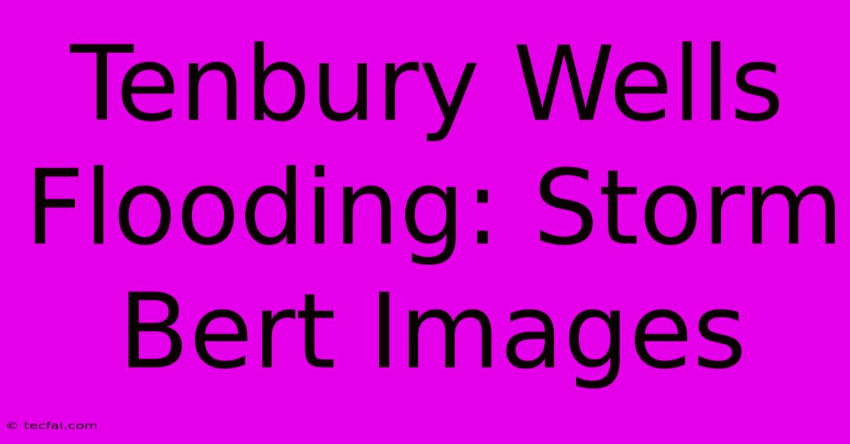 Tenbury Wells Flooding: Storm Bert Images