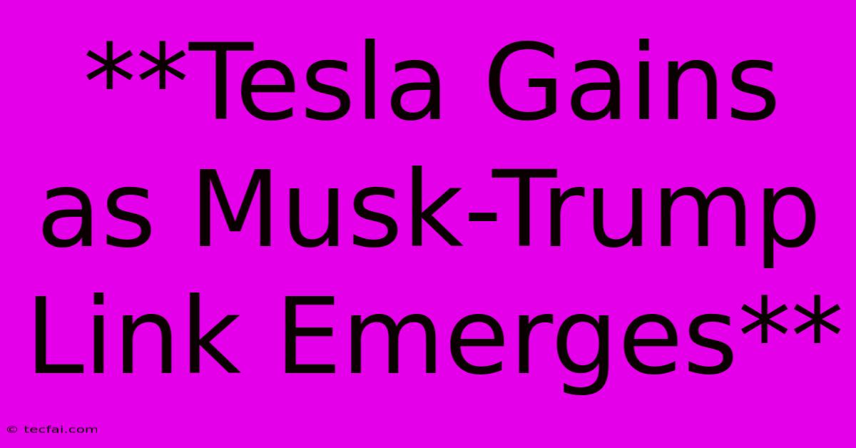 **Tesla Gains As Musk-Trump Link Emerges**