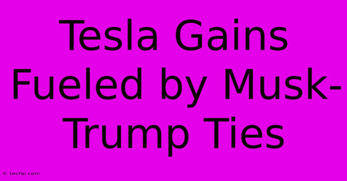 Tesla Gains Fueled By Musk-Trump Ties