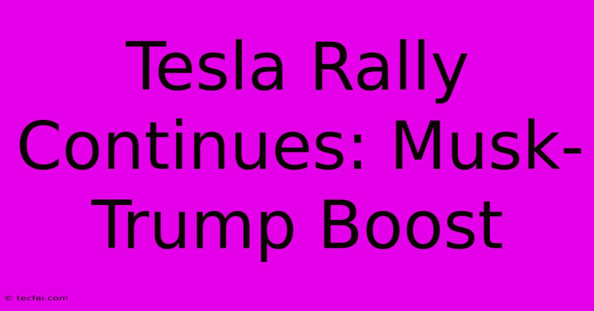 Tesla Rally Continues: Musk-Trump Boost