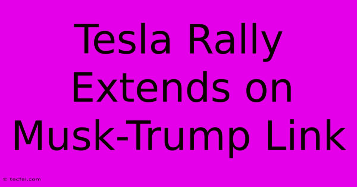 Tesla Rally Extends On Musk-Trump Link 