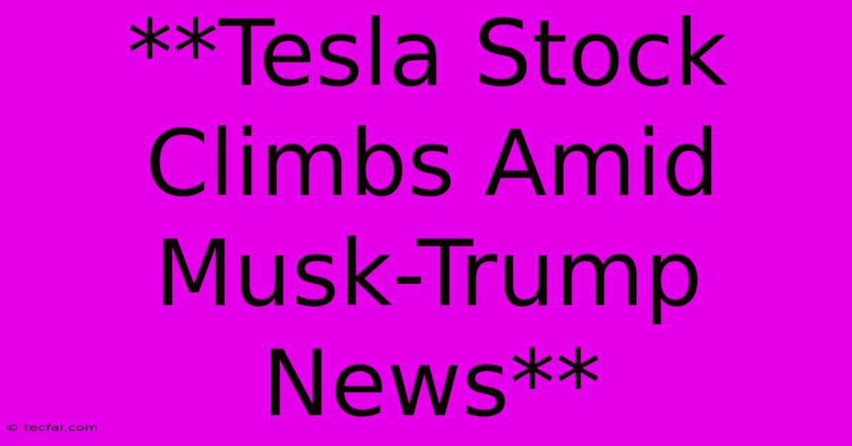 **Tesla Stock Climbs Amid Musk-Trump News**