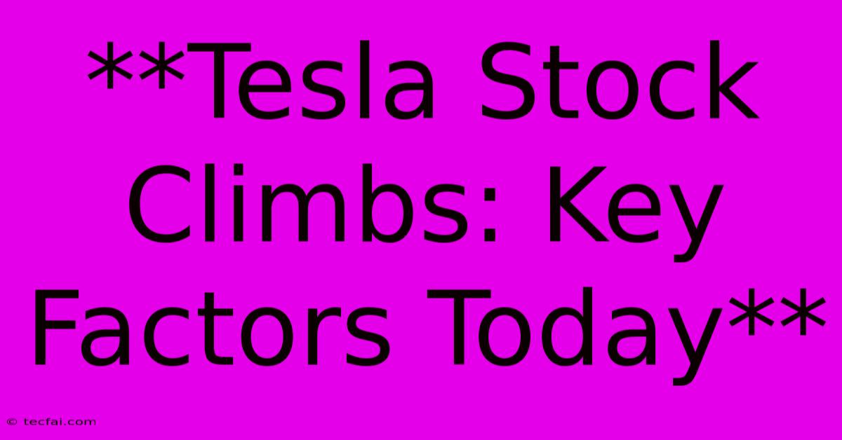 **Tesla Stock Climbs: Key Factors Today**