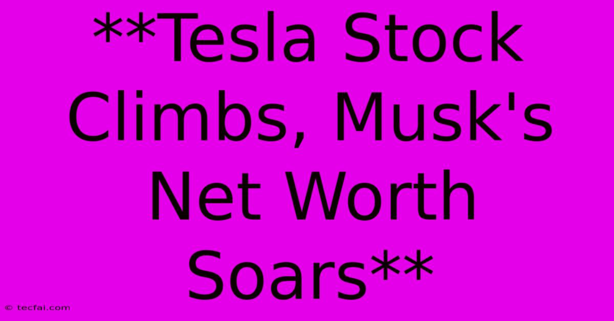 **Tesla Stock Climbs, Musk's Net Worth Soars** 