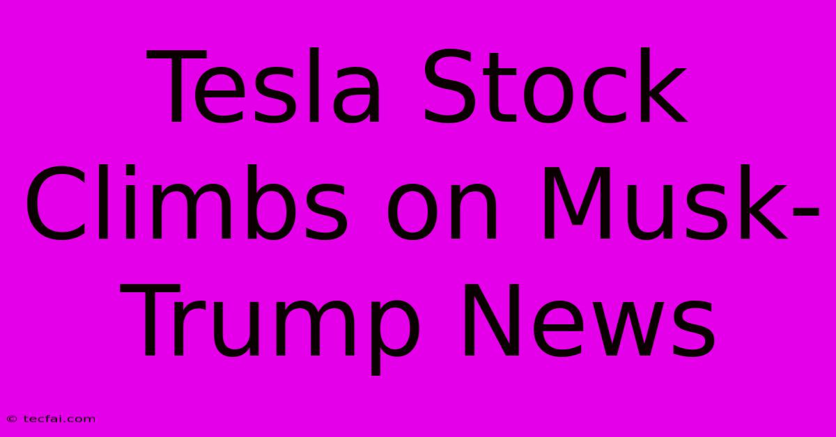 Tesla Stock Climbs On Musk-Trump News