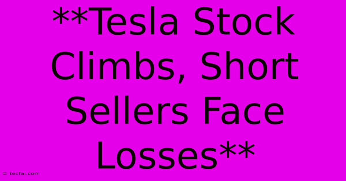 **Tesla Stock Climbs, Short Sellers Face Losses**