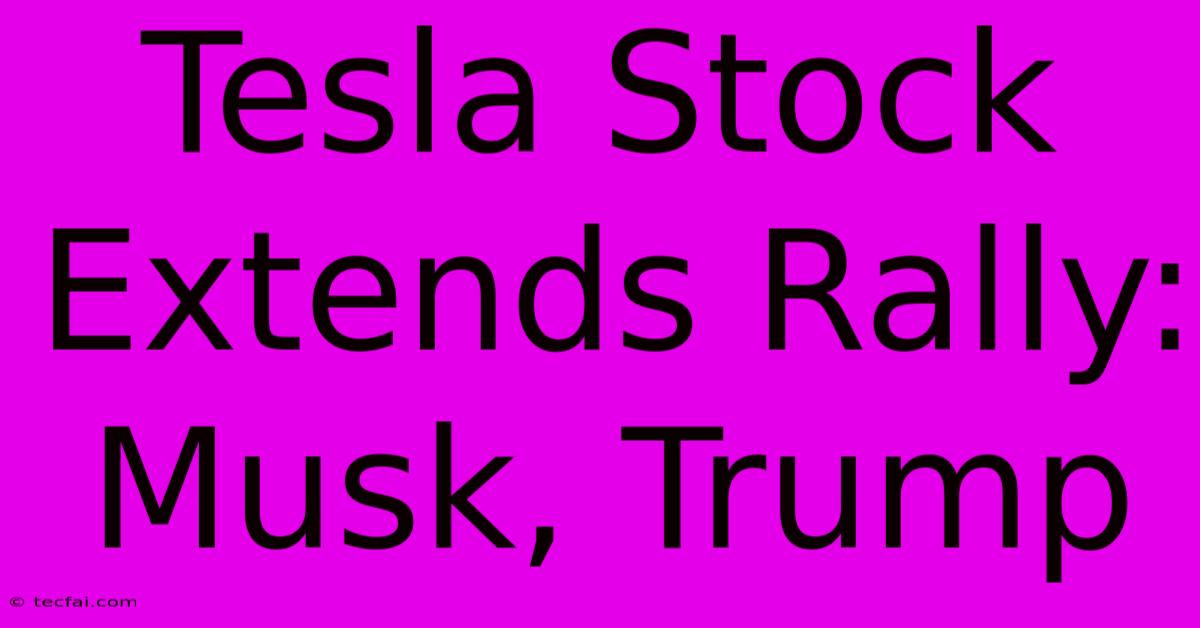 Tesla Stock Extends Rally: Musk, Trump 