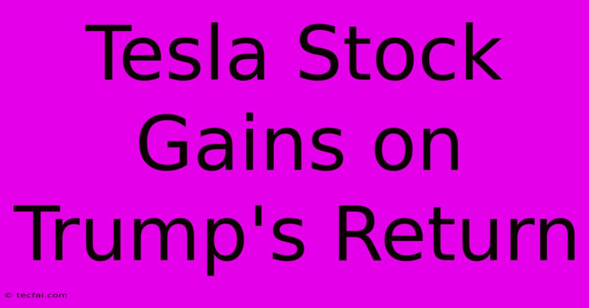 Tesla Stock Gains On Trump's Return 