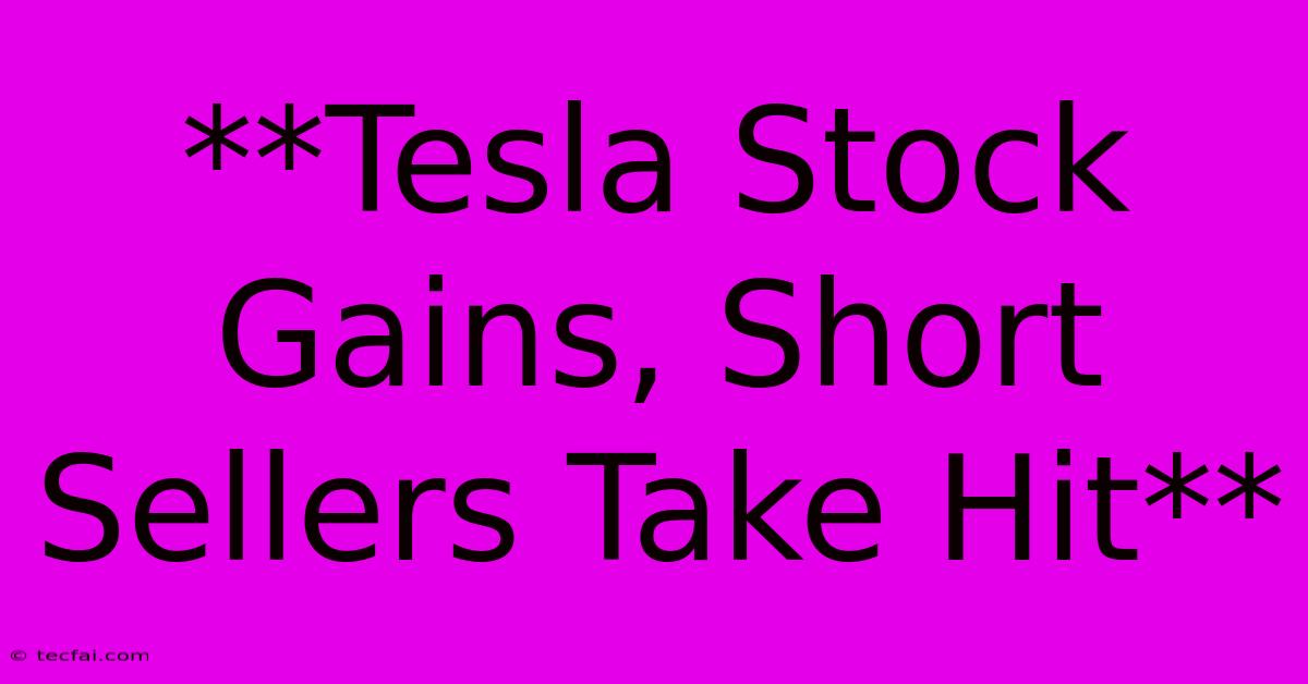 **Tesla Stock Gains, Short Sellers Take Hit**