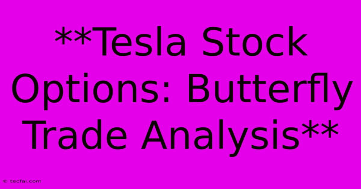 **Tesla Stock Options: Butterfly Trade Analysis**