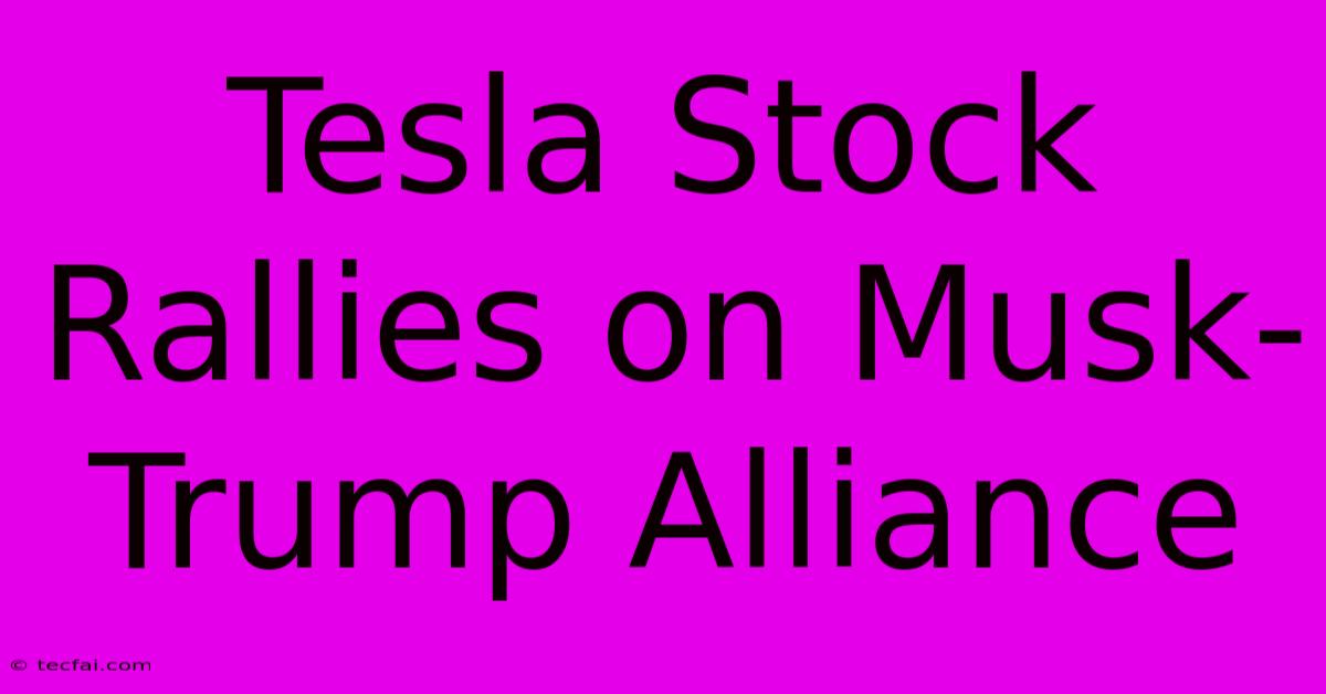 Tesla Stock Rallies On Musk-Trump Alliance