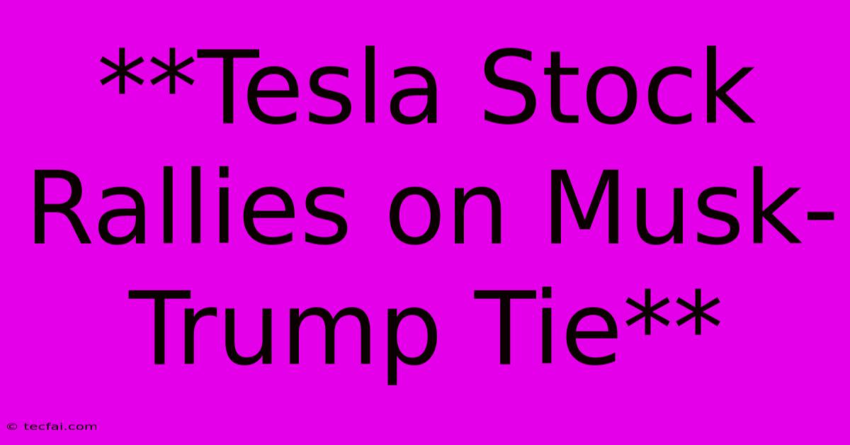 **Tesla Stock Rallies On Musk-Trump Tie**