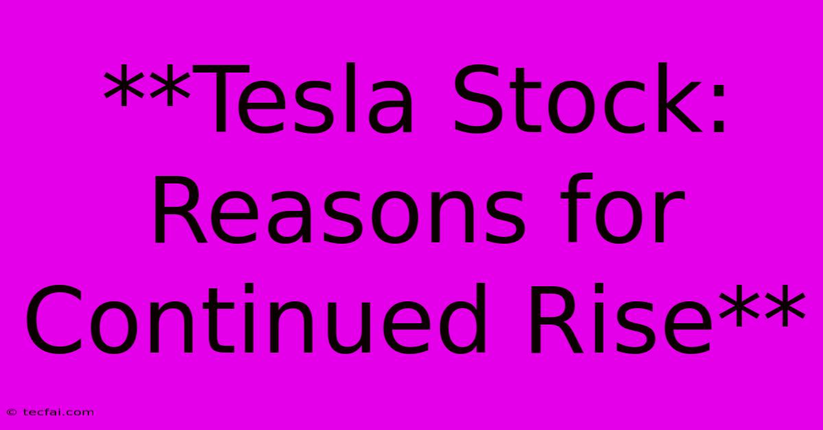 **Tesla Stock: Reasons For Continued Rise**