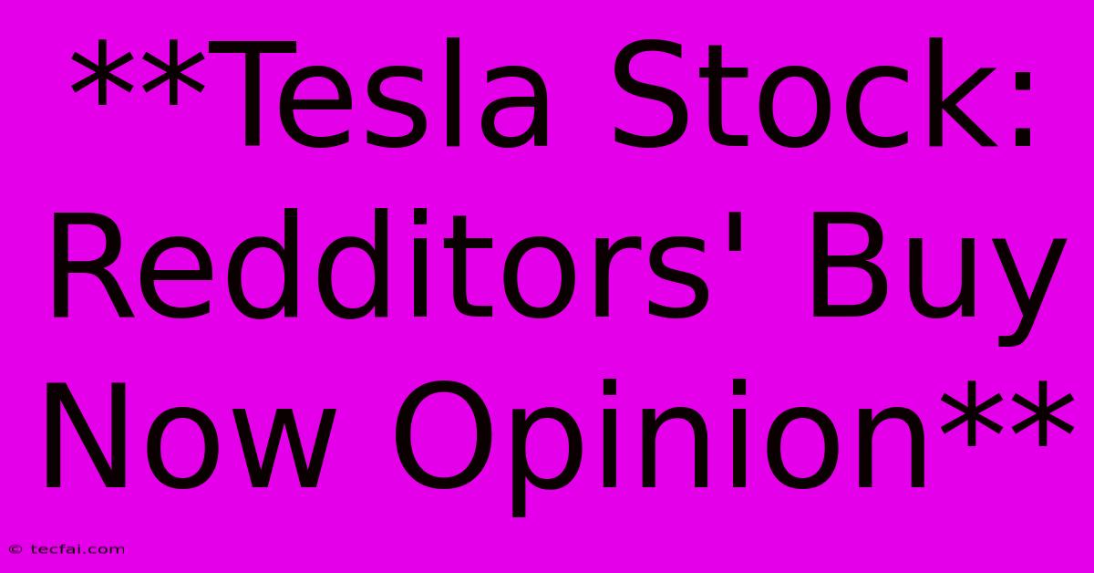 **Tesla Stock: Redditors' Buy Now Opinion**