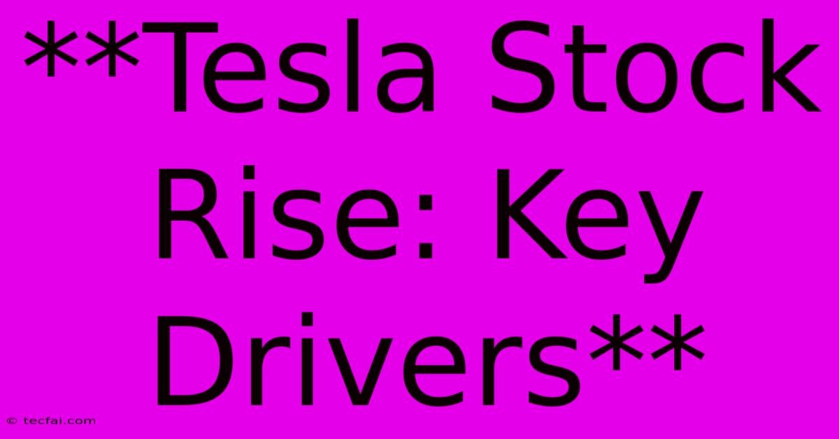 **Tesla Stock Rise: Key Drivers**