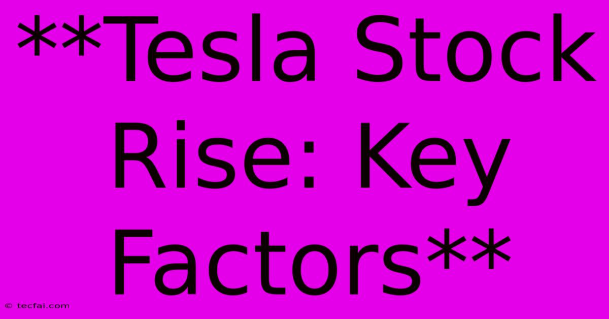 **Tesla Stock Rise: Key Factors**