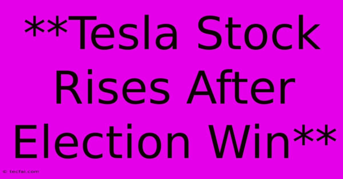 **Tesla Stock Rises After Election Win**