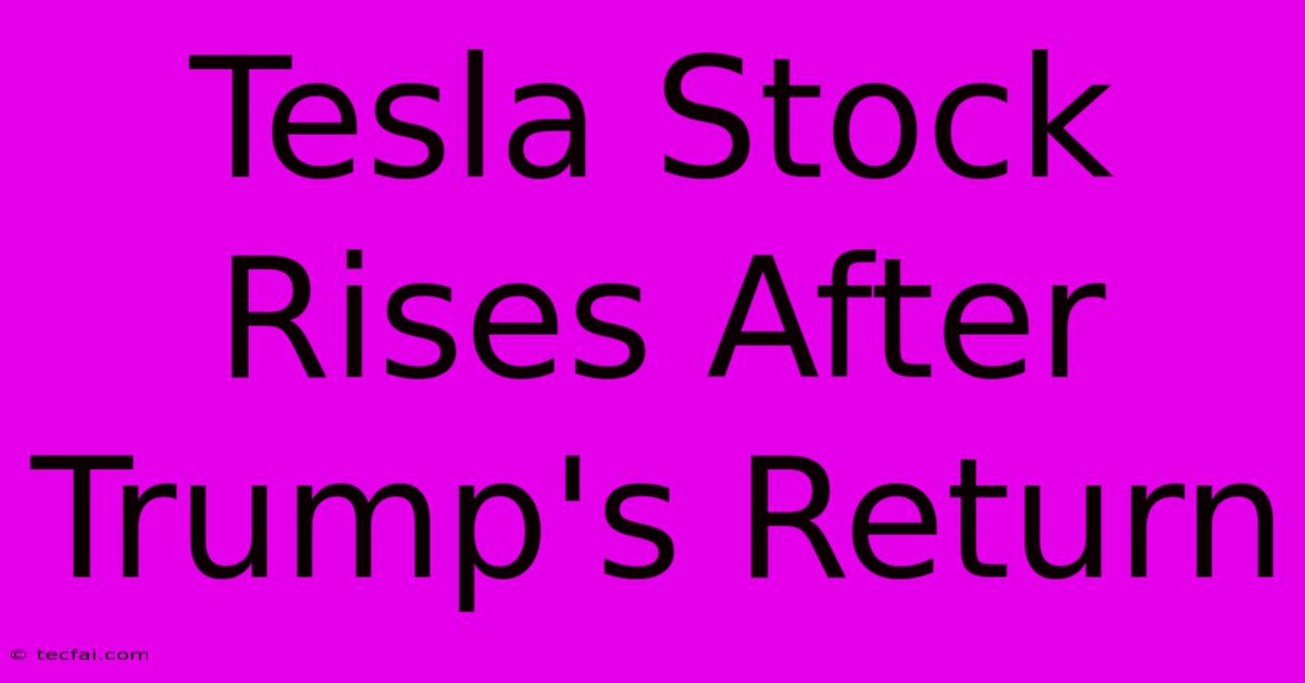 Tesla Stock Rises After Trump's Return