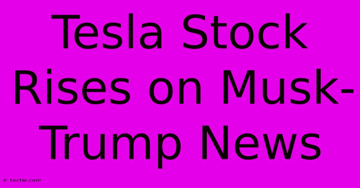 Tesla Stock Rises On Musk-Trump News