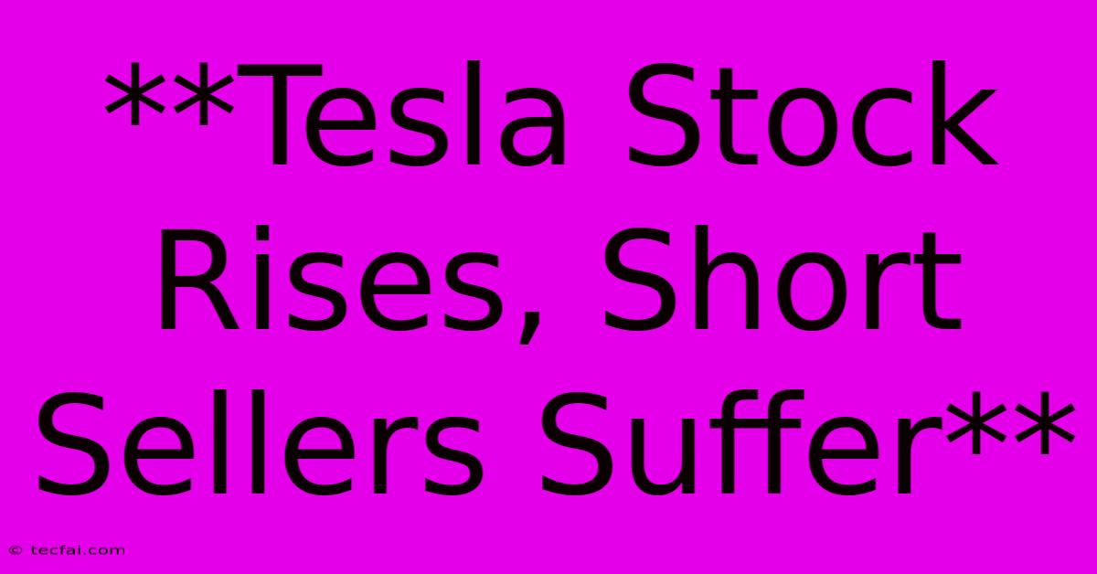 **Tesla Stock Rises, Short Sellers Suffer**