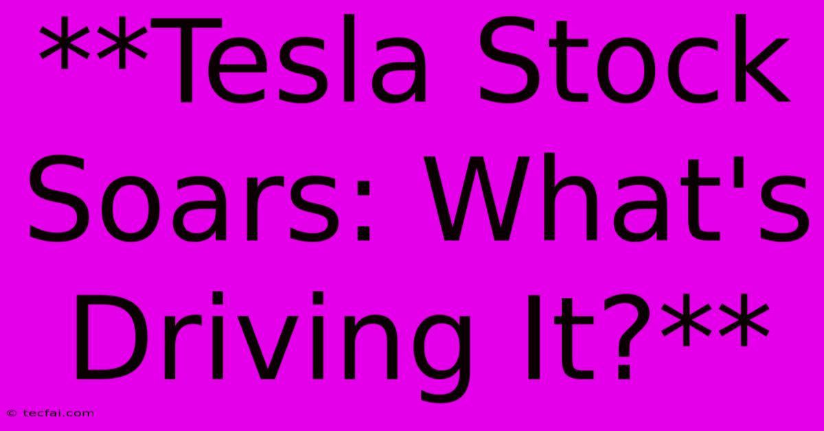 **Tesla Stock Soars: What's Driving It?**