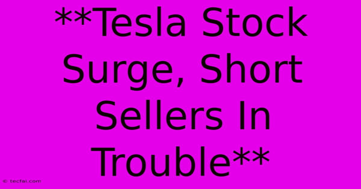 **Tesla Stock Surge, Short Sellers In Trouble** 