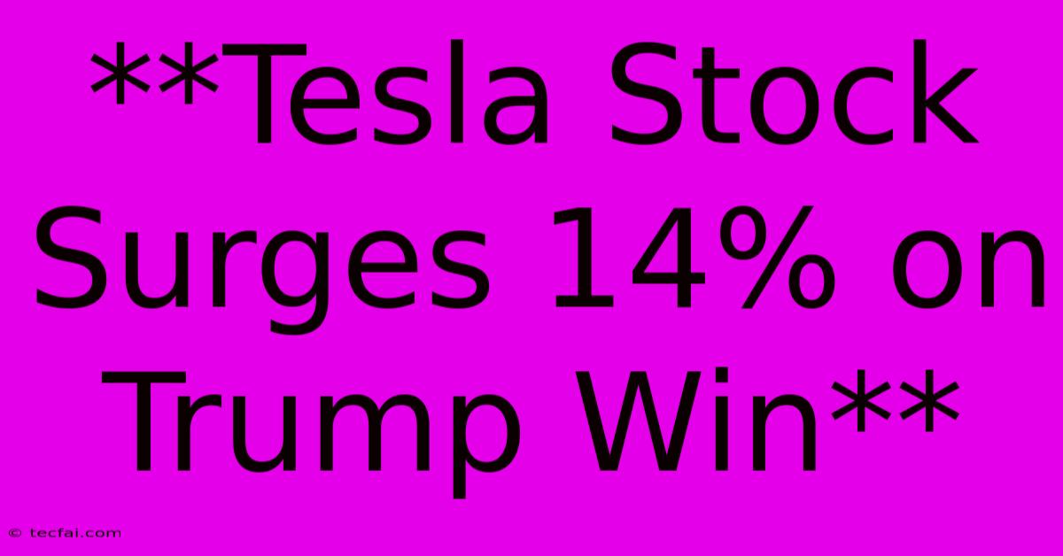 **Tesla Stock Surges 14% On Trump Win**