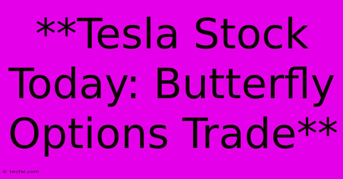 **Tesla Stock Today: Butterfly Options Trade**