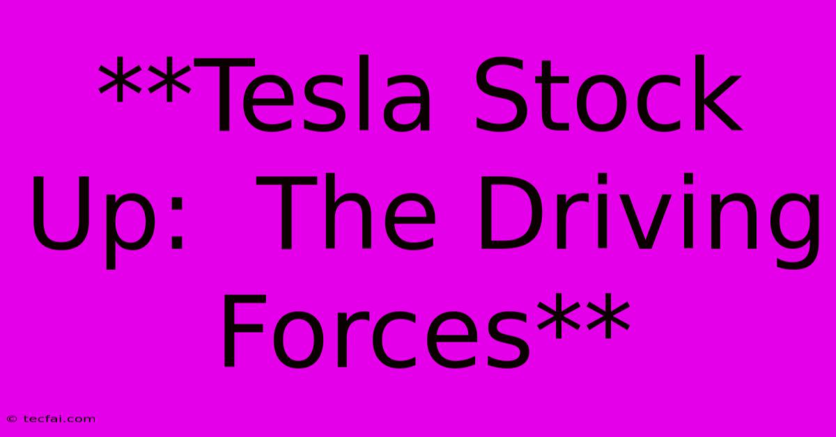 **Tesla Stock Up:  The Driving Forces**