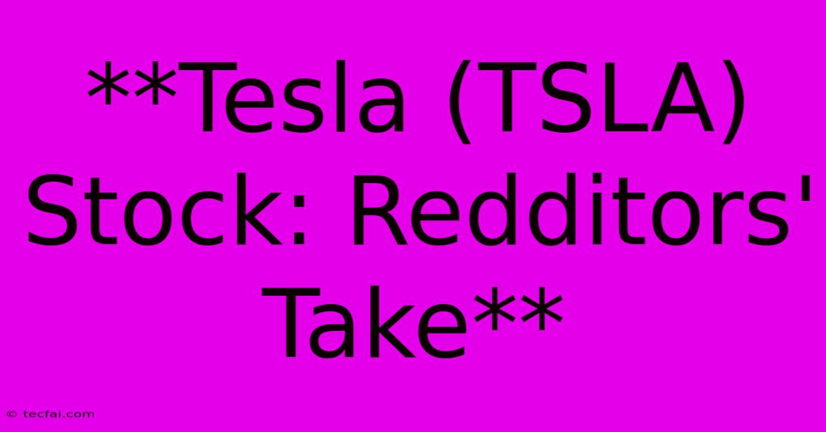 **Tesla (TSLA) Stock: Redditors' Take**