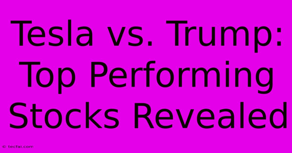 Tesla Vs. Trump: Top Performing Stocks Revealed 