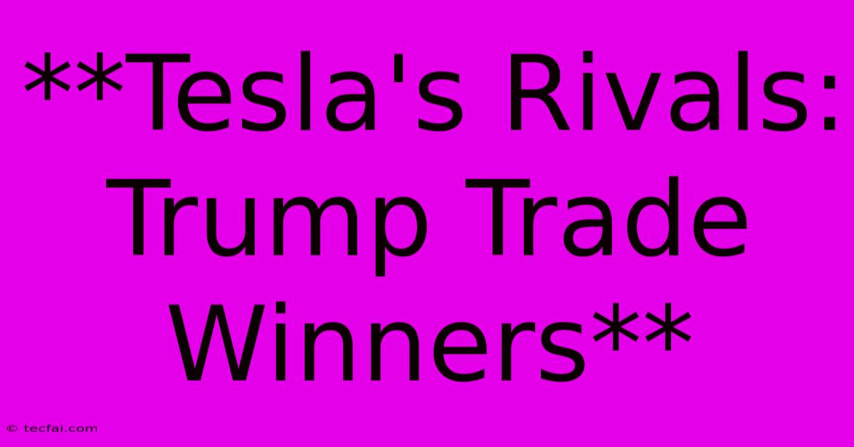 **Tesla's Rivals: Trump Trade Winners**