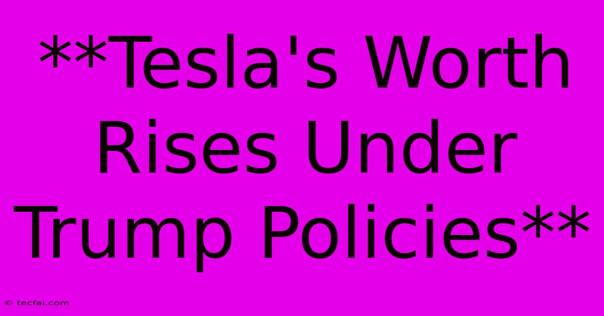 **Tesla's Worth Rises Under Trump Policies** 