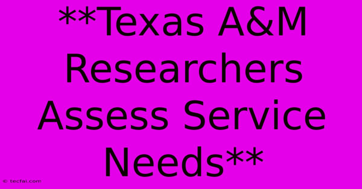 **Texas A&M Researchers Assess Service Needs**