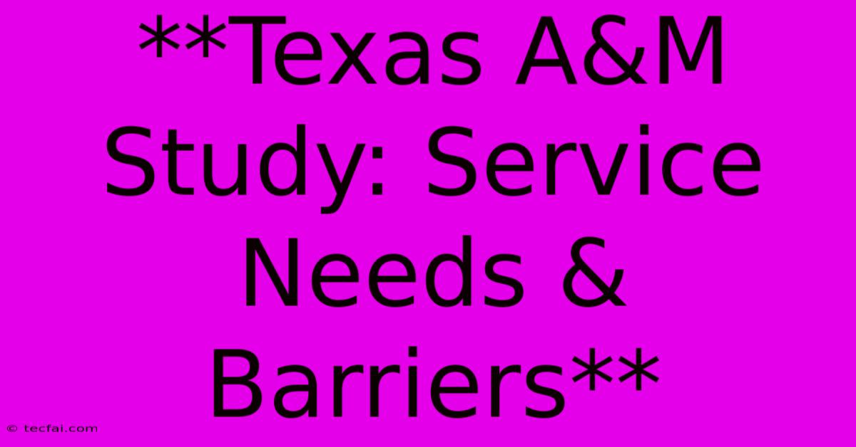 **Texas A&M Study: Service Needs & Barriers**