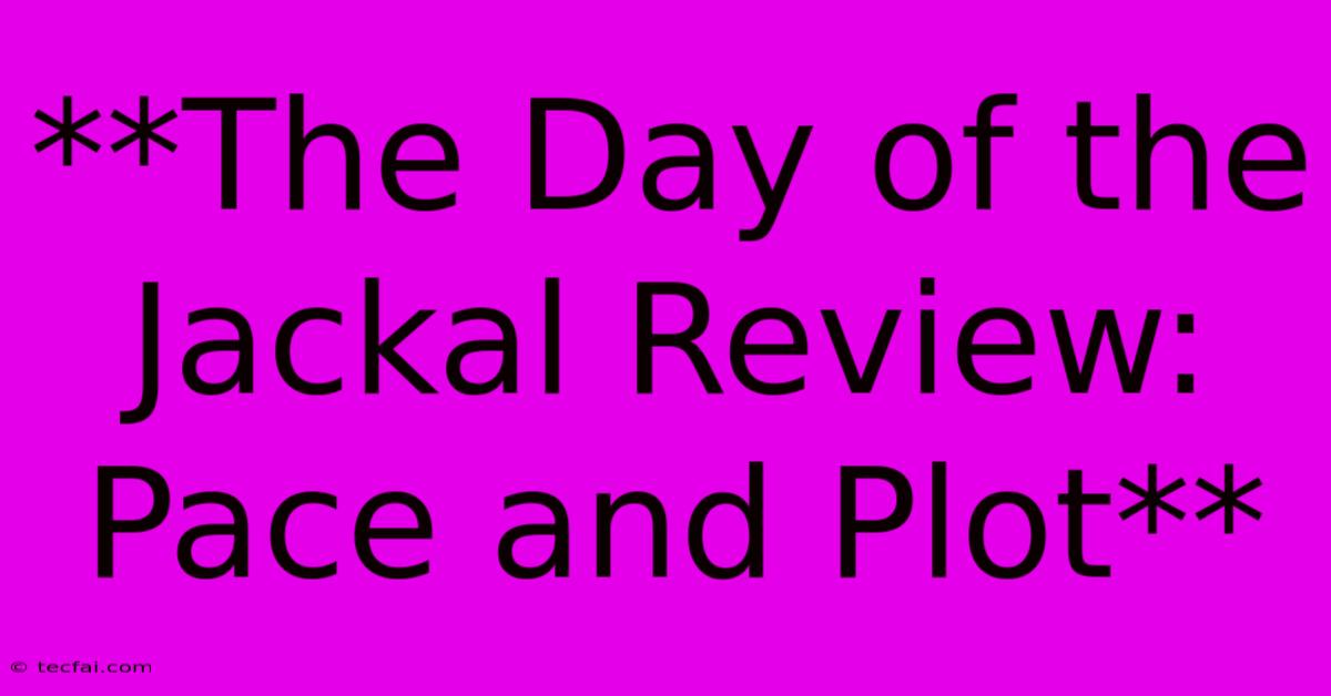 **The Day Of The Jackal Review:  Pace And Plot**