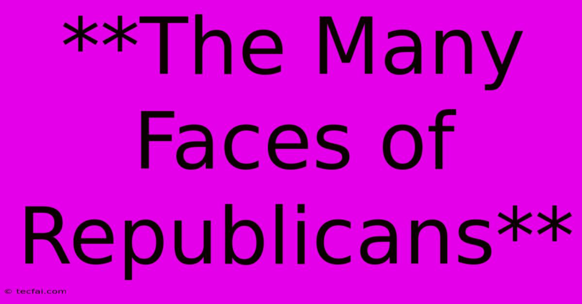 **The Many Faces Of Republicans**