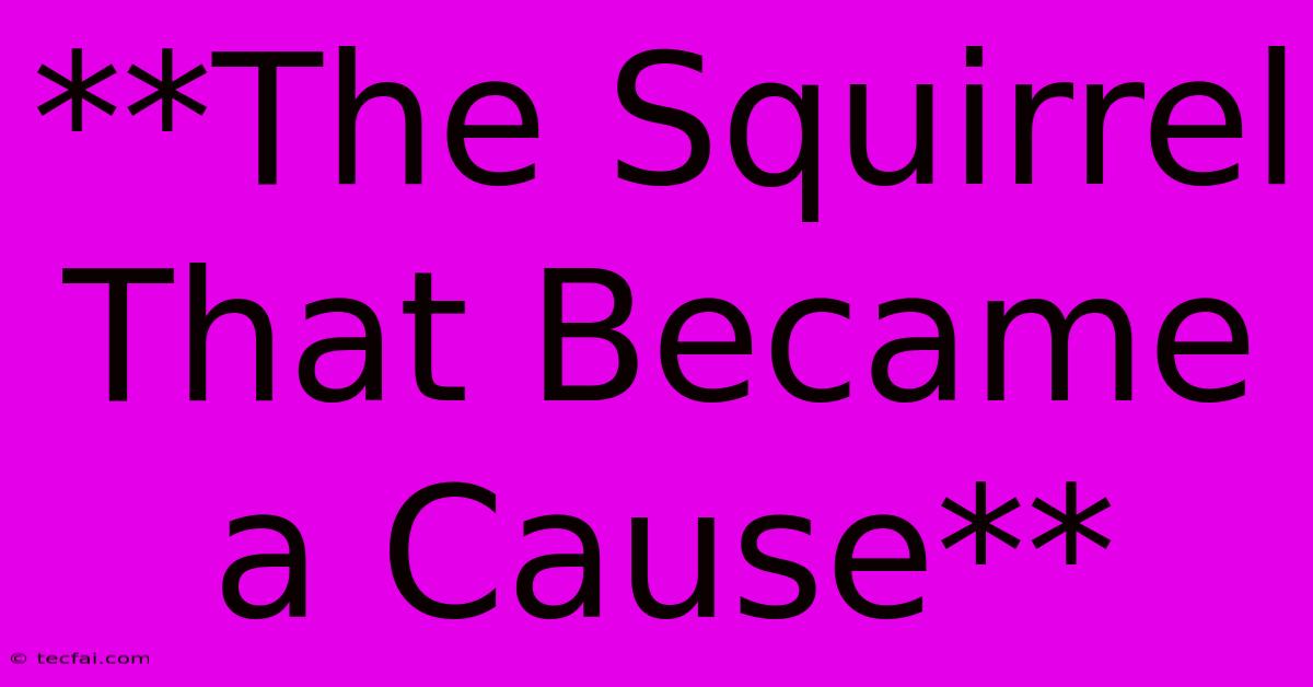 **The Squirrel That Became A Cause**