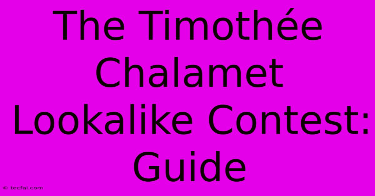 The Timothée Chalamet Lookalike Contest: Guide