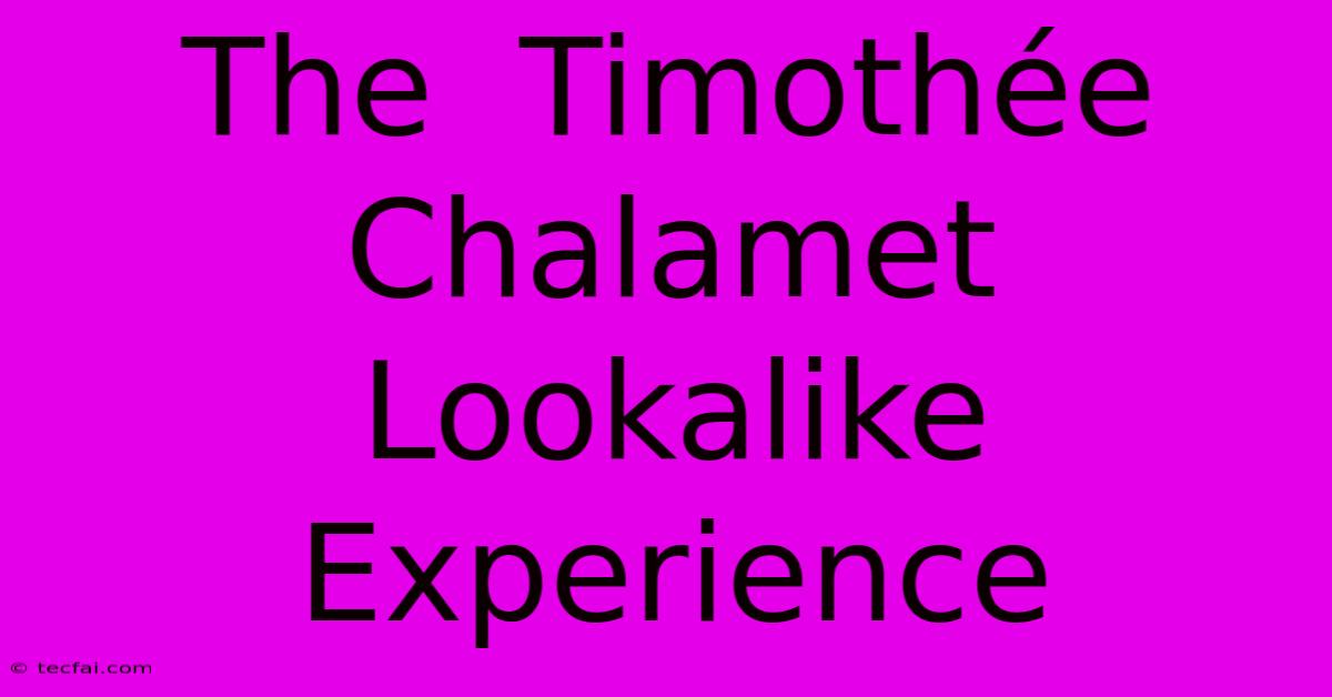 The  Timothée Chalamet Lookalike  Experience